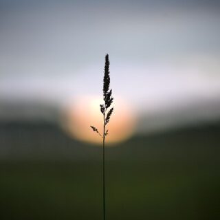 Страх одиночества