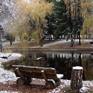 на фото природа зимой - метафора потеря близкого