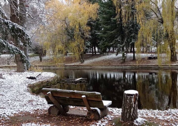 на фото природа зимой - метафора потеря близкого